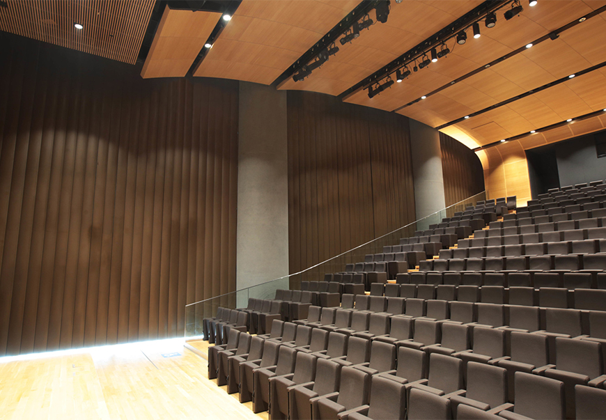 Konferans Salonu Koltuğu Bakımı ve Temizliği